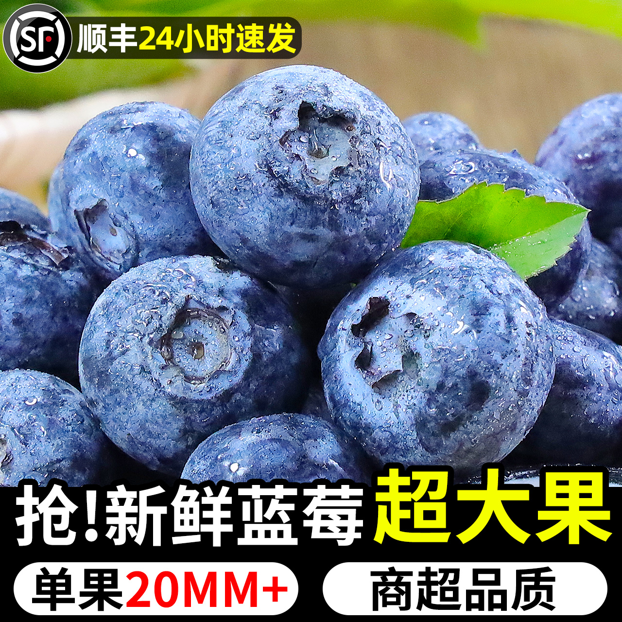 新鲜当季水果125克蓝梅鲜果高山怡颗甜蓝莓孕妇即食大果